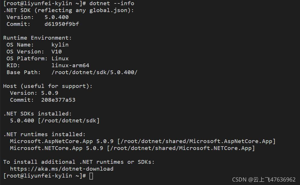dotnet --info