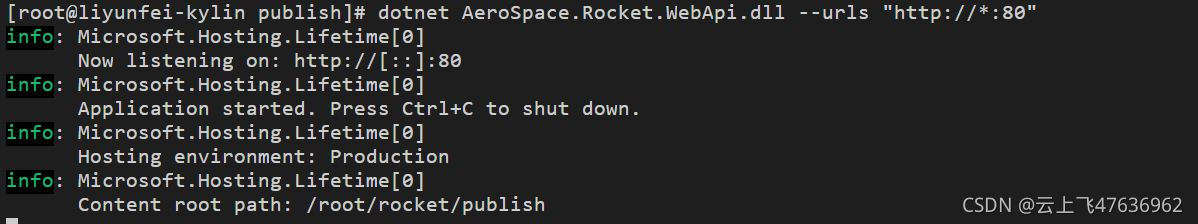 dotnet--urls